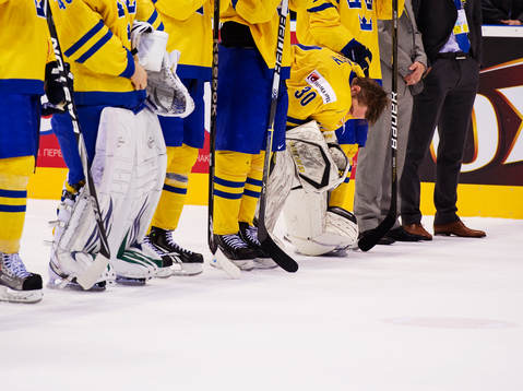 Viktor Fasth, målvakt, Sverige, depp