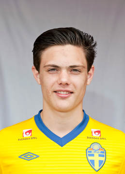 David Moberg Karlsson