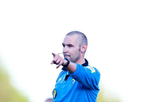 Jim Petersson, Domare