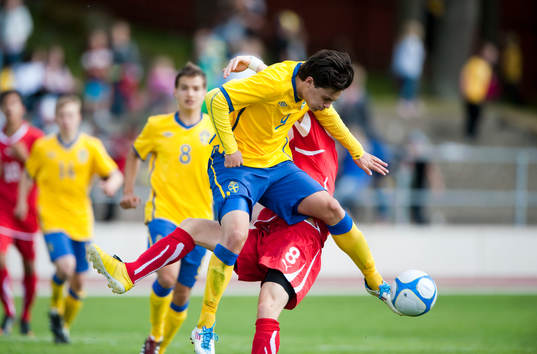 David Moberg Karlsson, Sverige