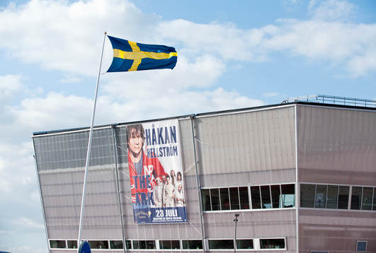 Guldfågeln arena