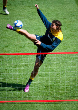 Zlatan Ibrahimovic