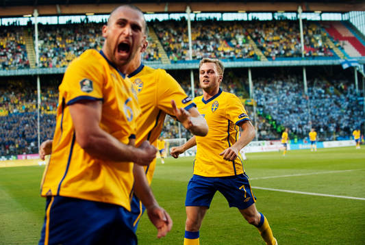 Sebastian Larsson och Emir Bajrami, Sverige, jublar