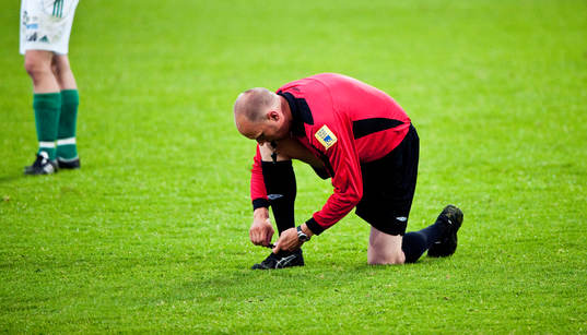 Stefan Petersson, Domare