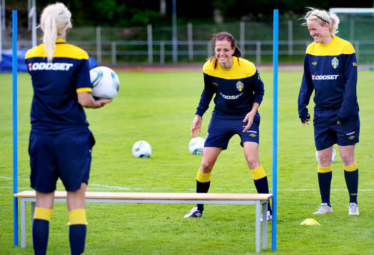 Lotta Schelin, Sverige