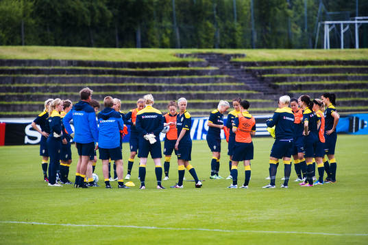 Samling, genomgång, lag