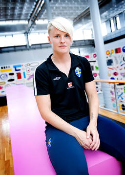 Nilla Fischer, Sverige