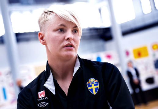 Nilla Fischer, Sverige