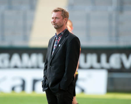 Peter Gerhardsson, tränare Häcken