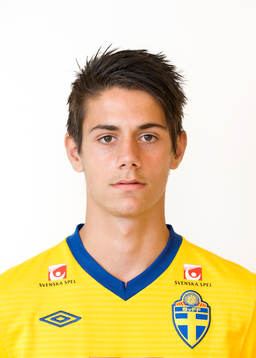 Mirza Mujcic