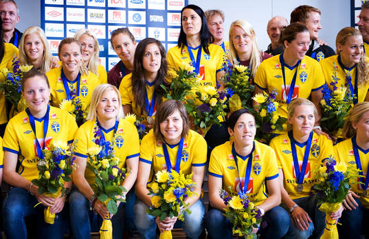 Sverige, lagbild, Landvetter