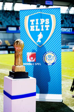 Tips Elit, Gothia Cup Pokal