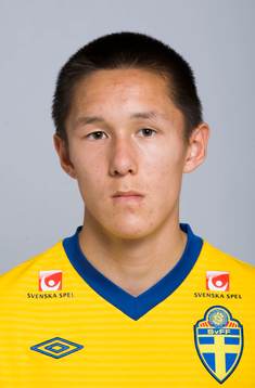Johan Ramhorn, Sverige