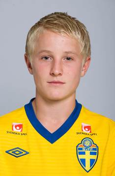 Franz Brorsson, Sverige