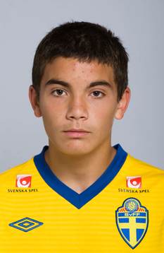 Martin Johansson Zanjanchi, Sverige