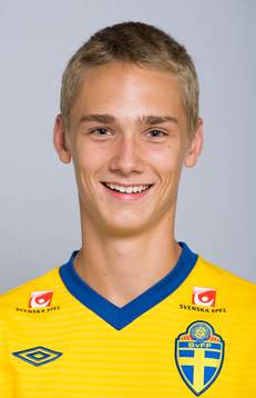 Linus Wahlqvist, Sverige