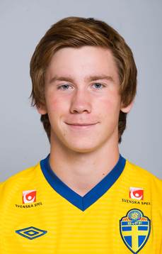 Viktor Gustafsson, Sverige