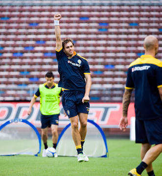 Johan Elmander, Sverige