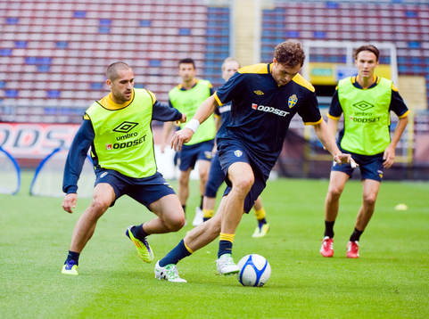 Johan Elmander, Sverige
