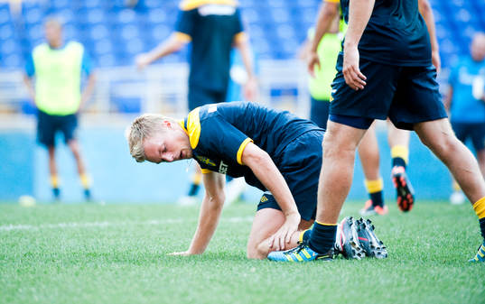Sebastian Larsson
