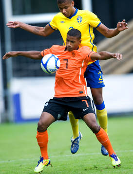 Mikael Dyrestam, Sverige och Luciano Narsingh, Holland