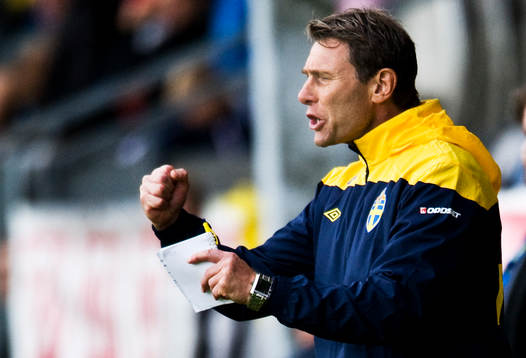 Håkan Ericson, förbundskapten