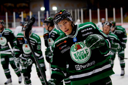 Andree Brendheden, Rögle, jubel