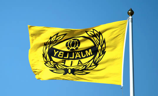 Flagga, fana