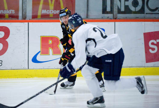 Tomas Skogs, Skellefteå