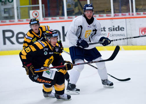 Erik Forsell, Skellefteå