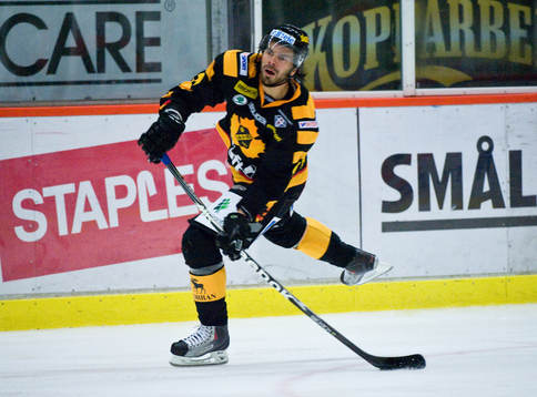Hannu Pikkarainen, Skellefteå
