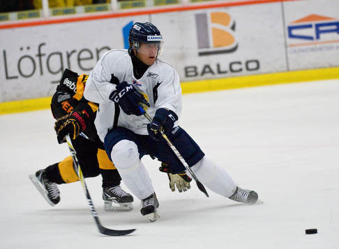 Mitja Robar, Växjö