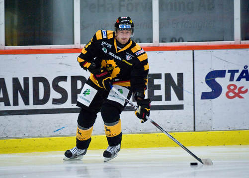 Tomas Skogs, Skellefteå