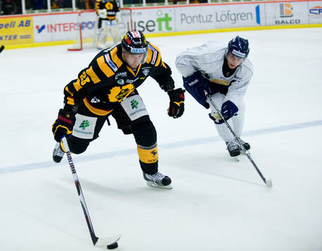 Tomas Skogs, Skellefteå