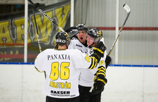 Patrik Nemeth och Joakim Nordström, AIK  (Jubel)