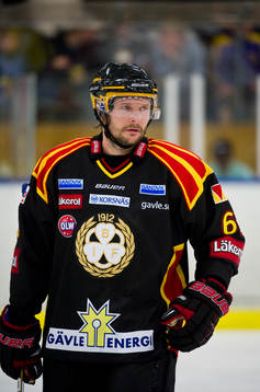 Mats Lavander, Brynäs
