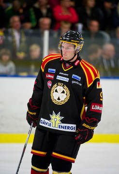 Niclas Andersén, Brynäs
