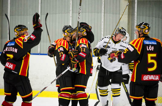 Jubel Brynäs