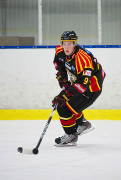 Niclas Andersén, Brynäs