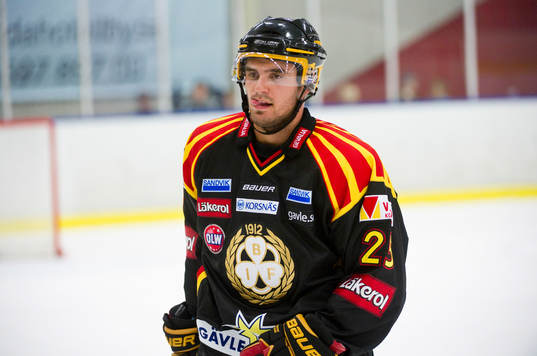 Martin Johansson, Brynäs