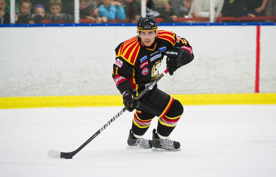 Daniel Widing, Brynäs