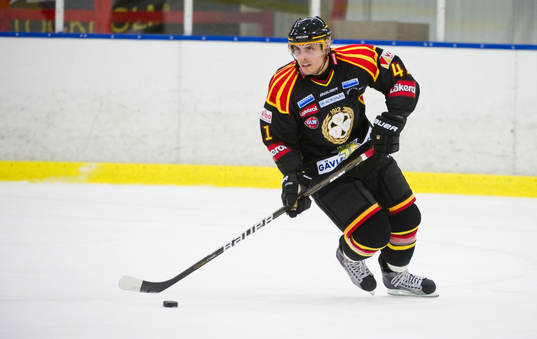 Daniel Widing, Brynäs