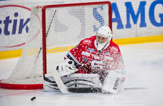 Julius Hudacek, målvakt