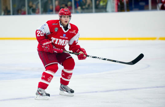 Niklas Torp