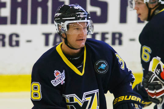 Mats Trygg, HV71