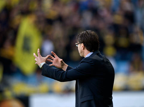 Rikard Norling, tränare