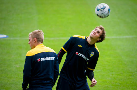 Sebastian Larsson och Johan Elmander