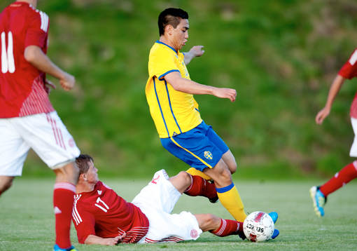 Mads Petersen, Danmark, Amin Nazari, Sverige