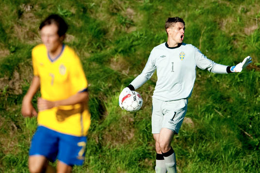 Davor Blazevic, målvakt, Sverige