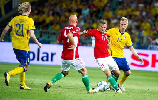 Oscar Wendt, Sverige